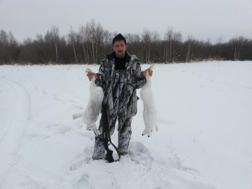 охота на беляка 2014