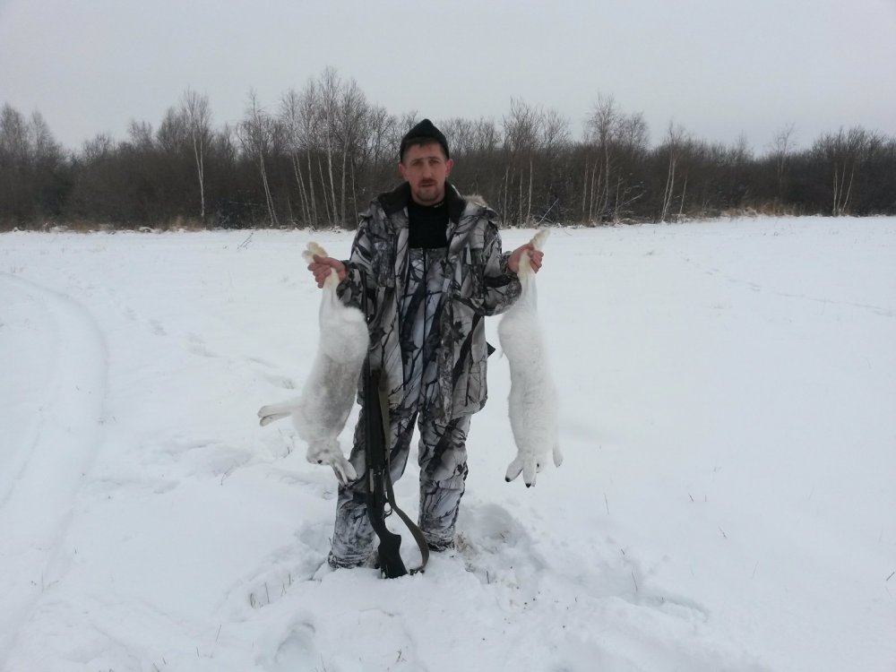охота на беляка 2014
