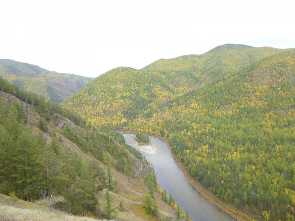 Осень