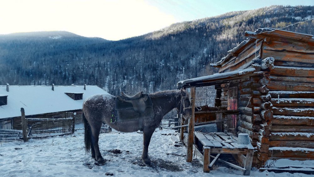 На рассвете