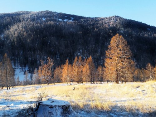 Контраст