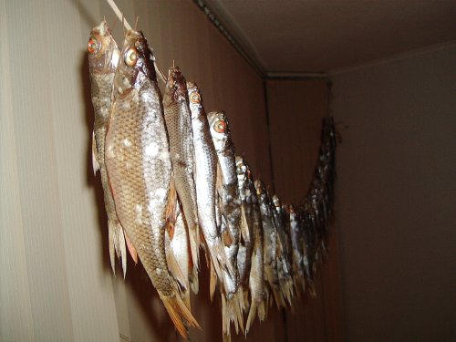 За пивОм!