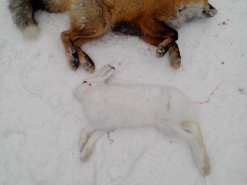 Сезон 2014 закрыл