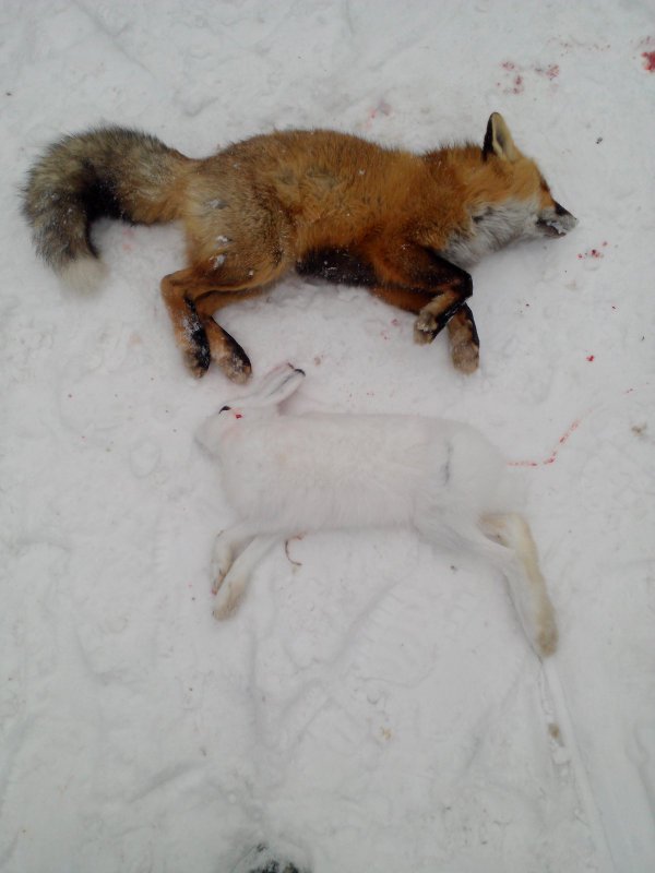 Сезон 2014 закрыл