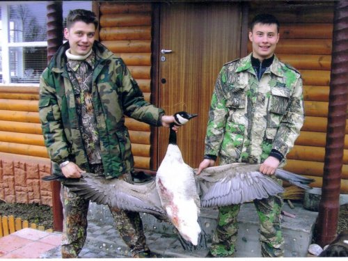 Один из гигантов