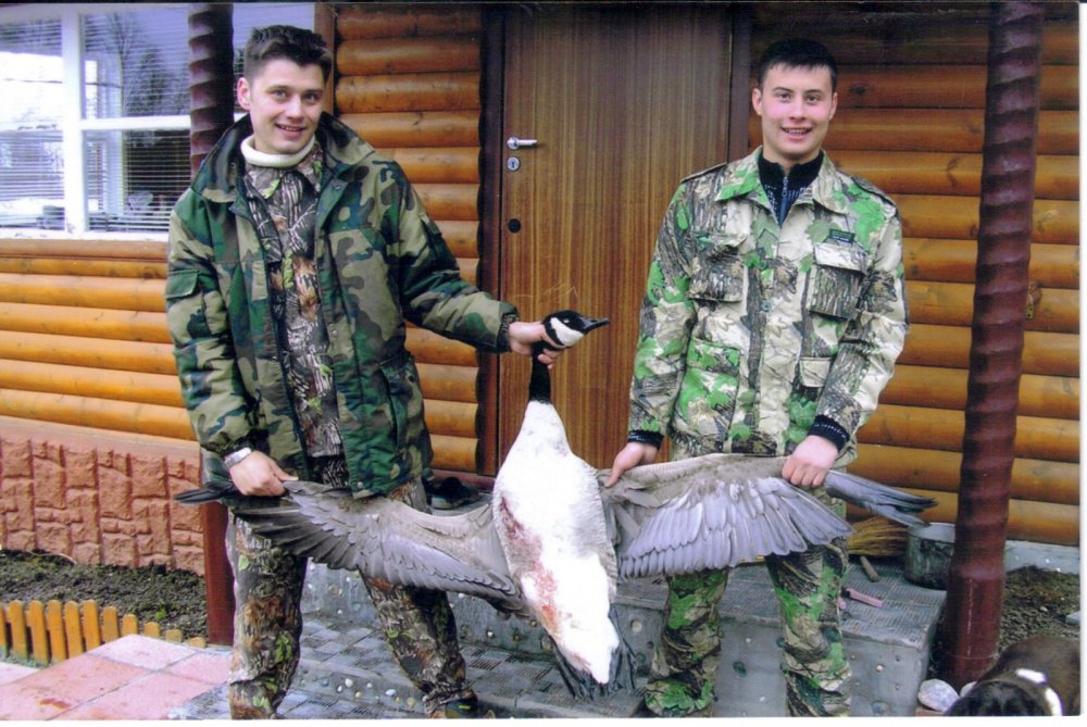 Один из гигантов