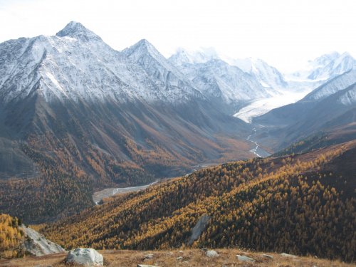 АРГУТ