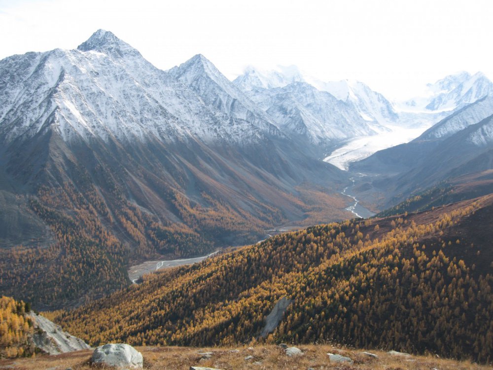 АРГУТ