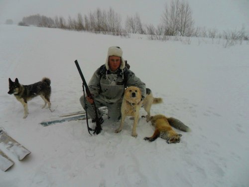 Взяли рыжую!)))