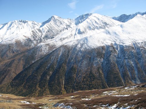 АЛТАЙ
