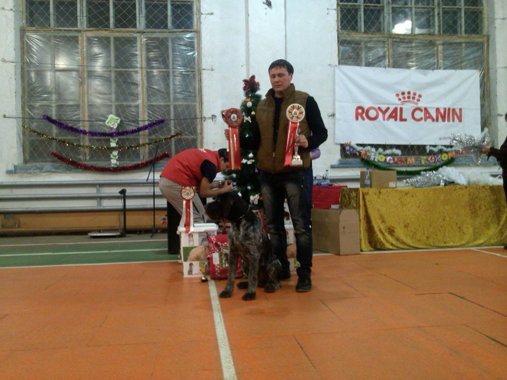 Лучший юниор, Лучшая собака выставки 2 место
