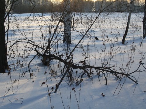 Классное закрытие сезона на зайку!!!!