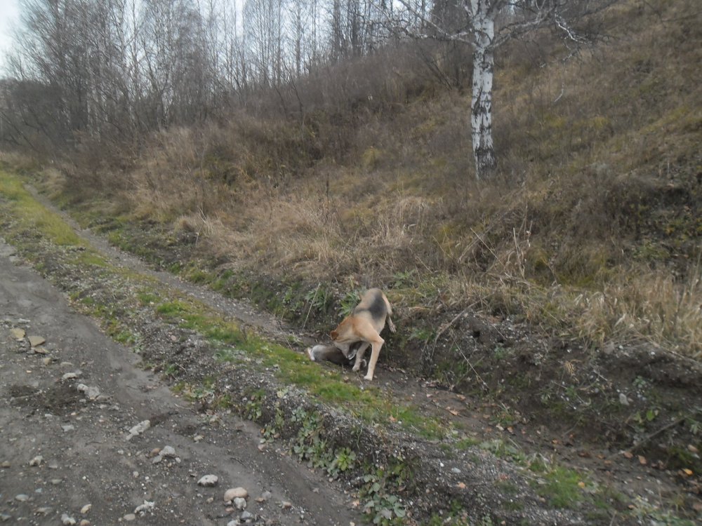 Поймала