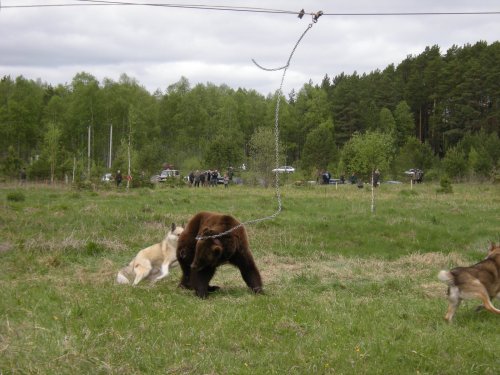 Есть хватка по месту...