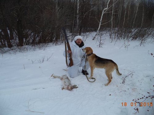 А вот и зайчик.