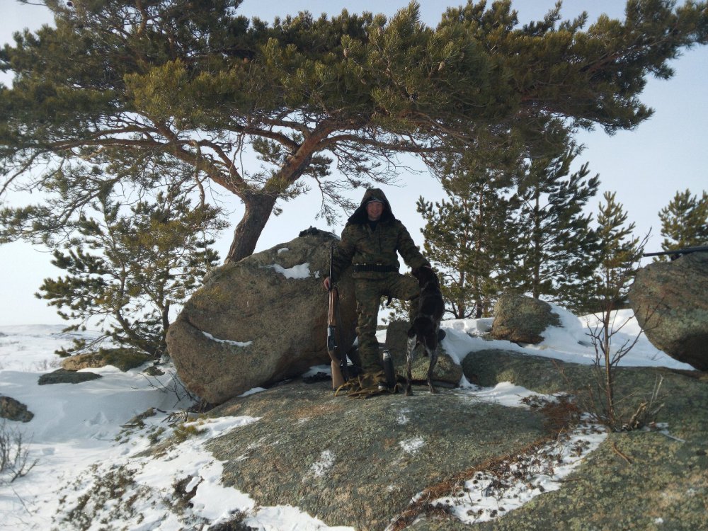 чаепитие под сосной