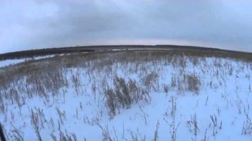 05.01.2015 г. "А вот и зайчик" (четырнадцатый за этот сезон)