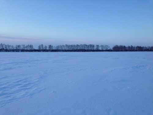 утро 3.01.2015