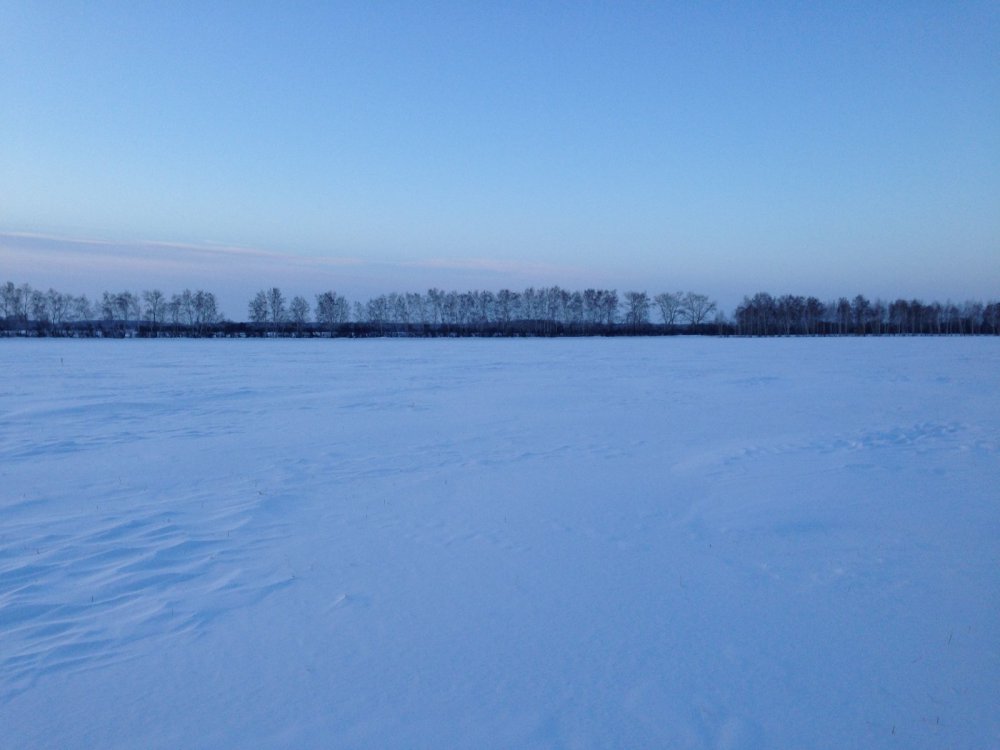 утро 3.01.2015