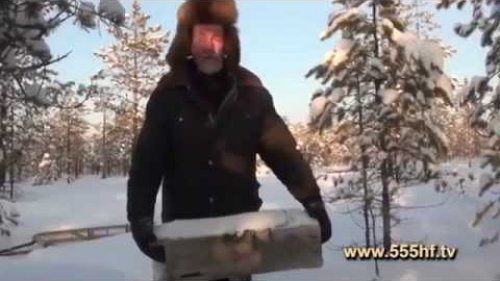 Охота на сибирского соболя