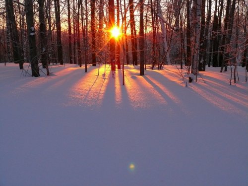 Морозный рассвет