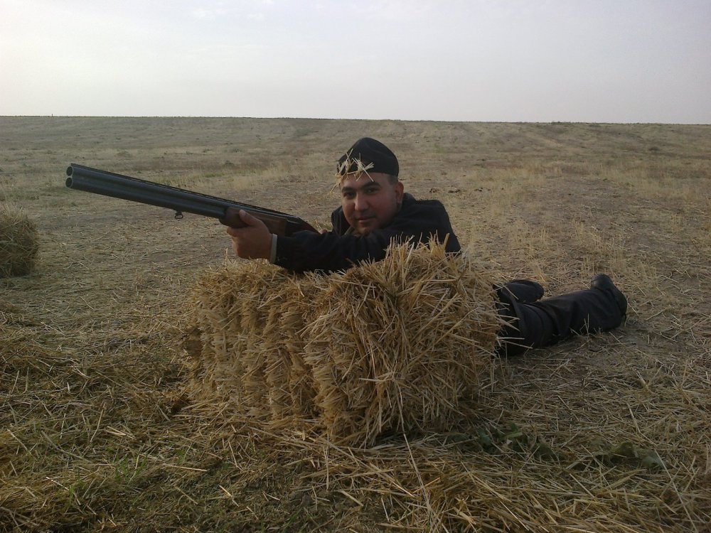 В засаде на голубей