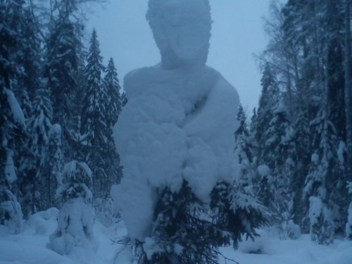 Чудеса на просеке