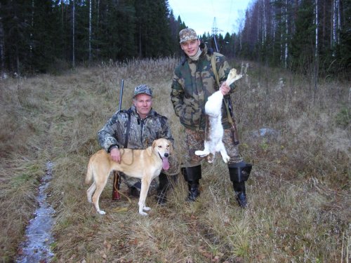Работа Пульки