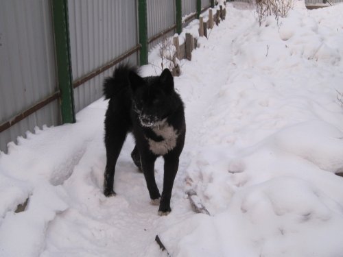 ВСЛ Улькан (1 год)