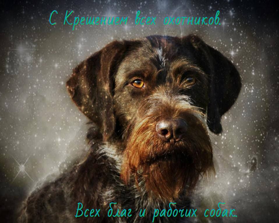 Всех охотников С Крещением!!!