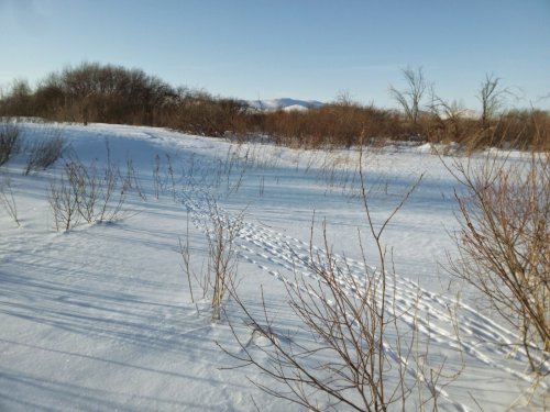 масстарт