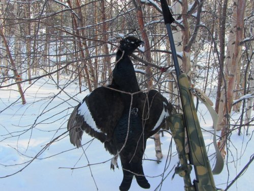 Ремыч с добычей.
