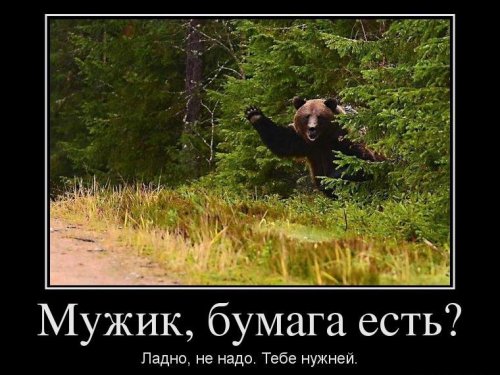 Мишка.