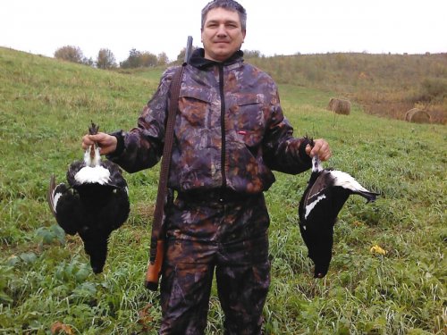 Дары полей Алтая