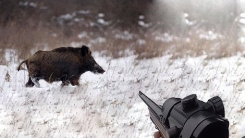 Загонная на номере, красивые выстрелы.