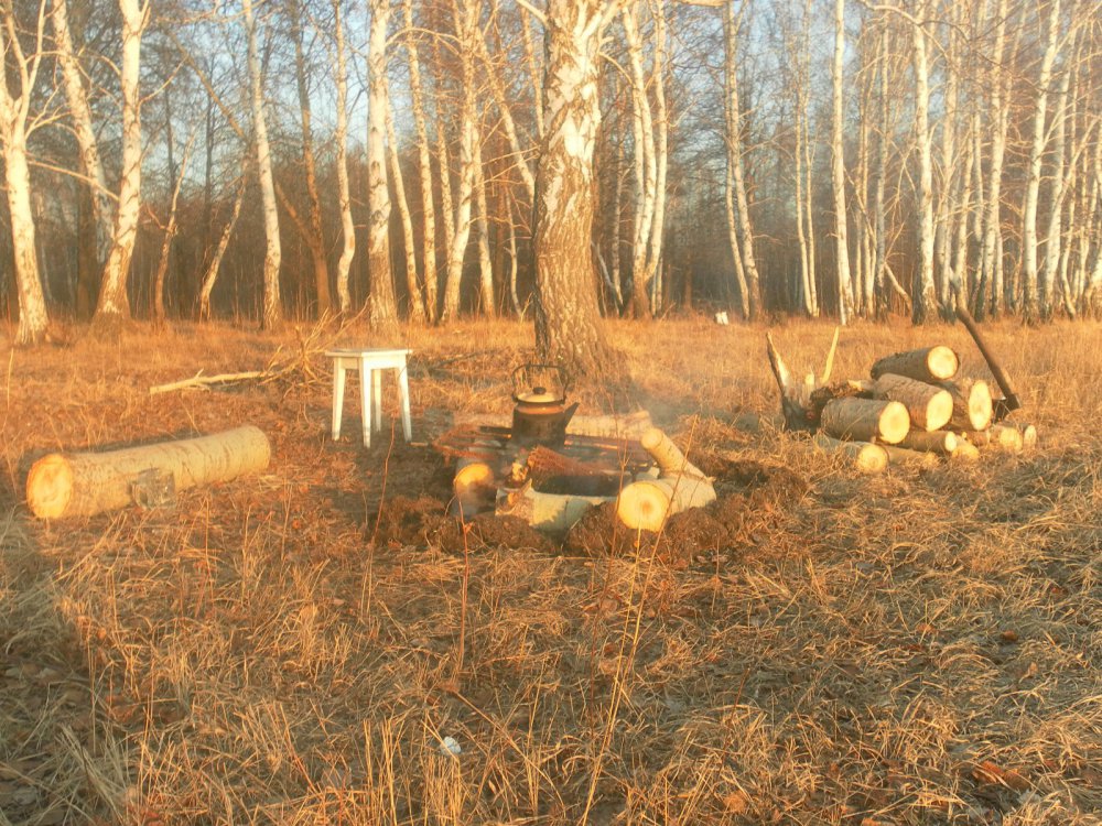 весна