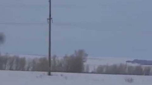 Подманил лису с помощью телефона (электроманка), не выходя с машины))))