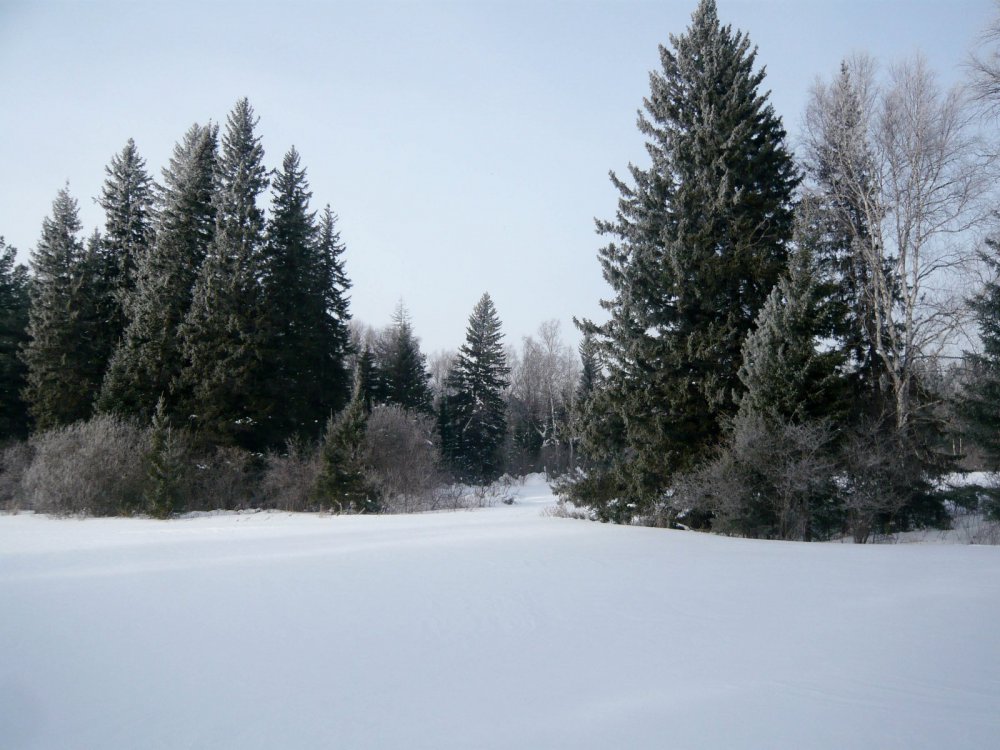 Февраль 1