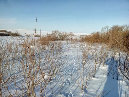 след в след