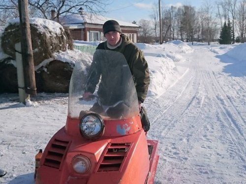 оранжевый конь