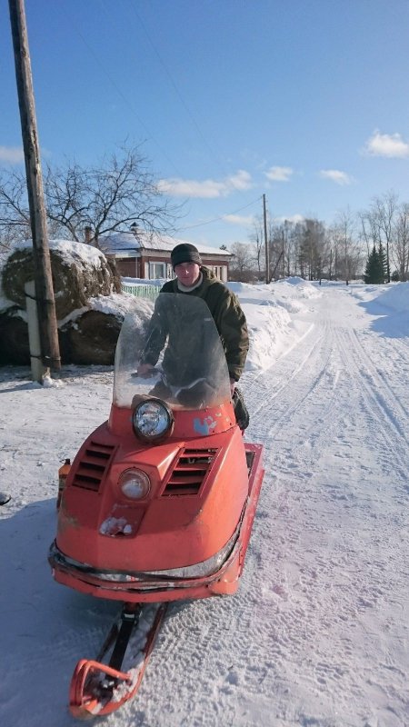 оранжевый конь