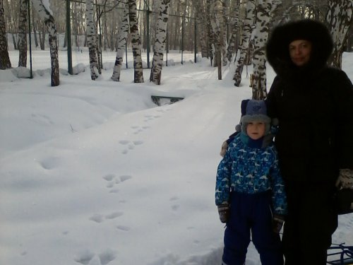 Зайцы теперь живут в городе