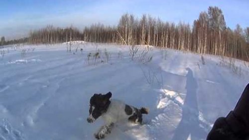 асс.
