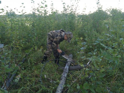 Заготовка для вечерней посиделки