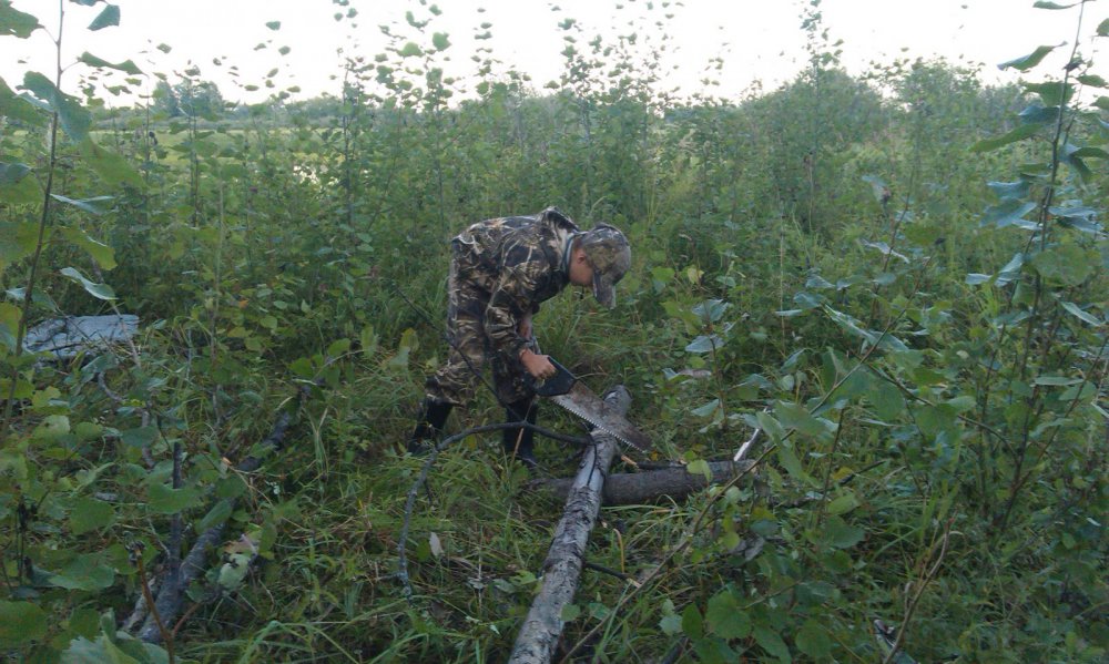 Заготовка для вечерней посиделки