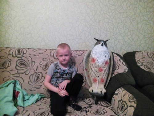 к весенней на ворон готов