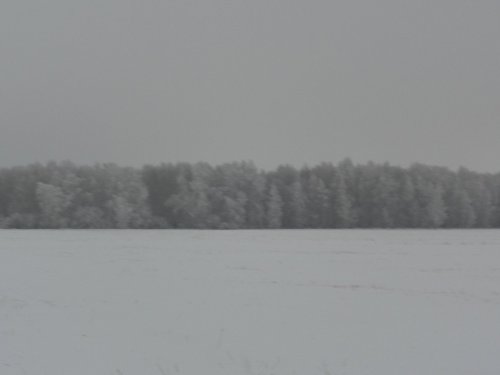 зима