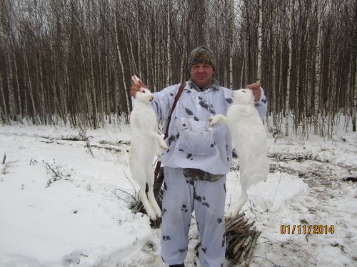 открытие на зайчика