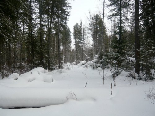 Февраль 2