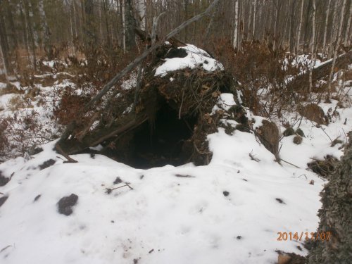 Берлога 2